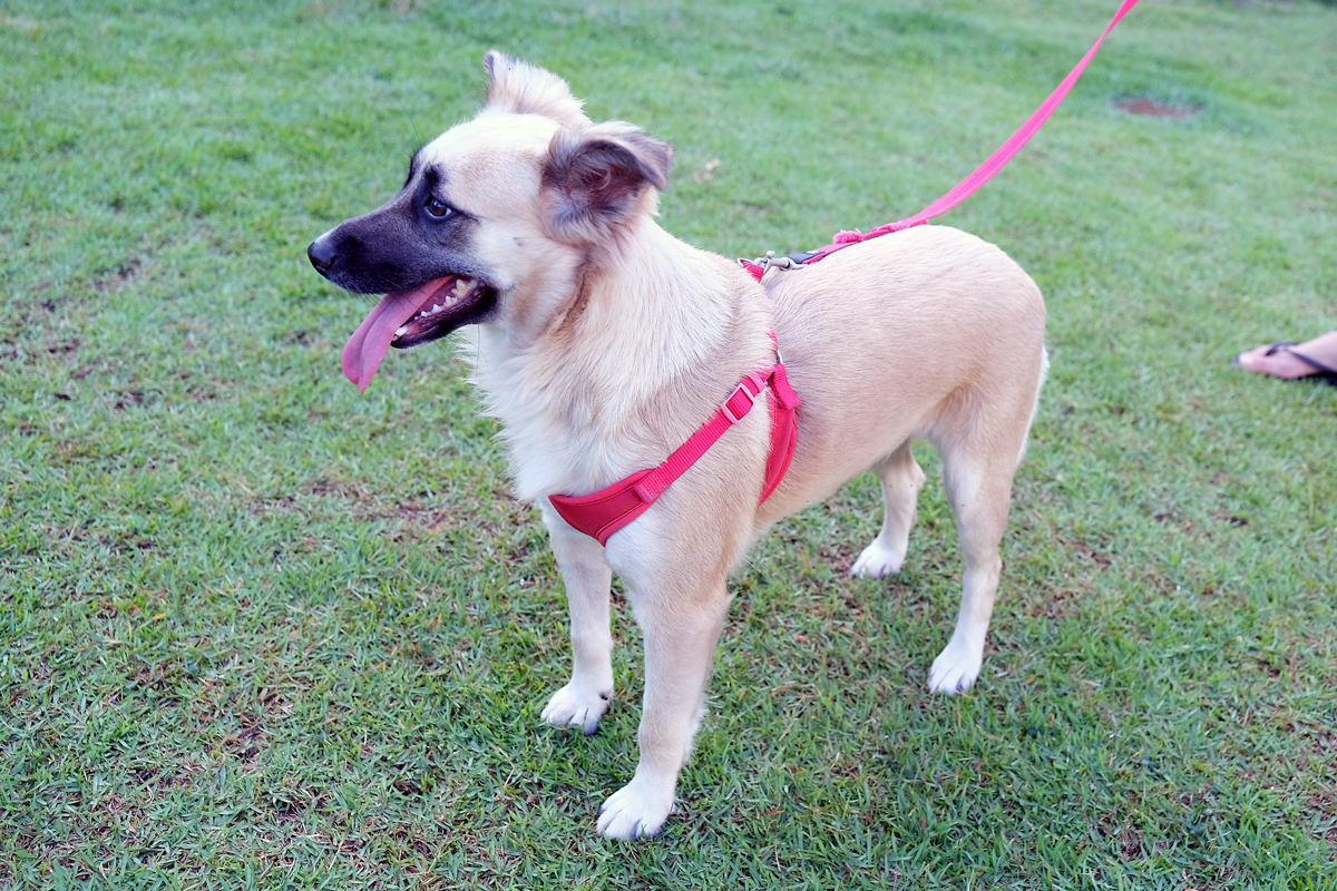 275106984_1165398037537055_1802290448934750957_n