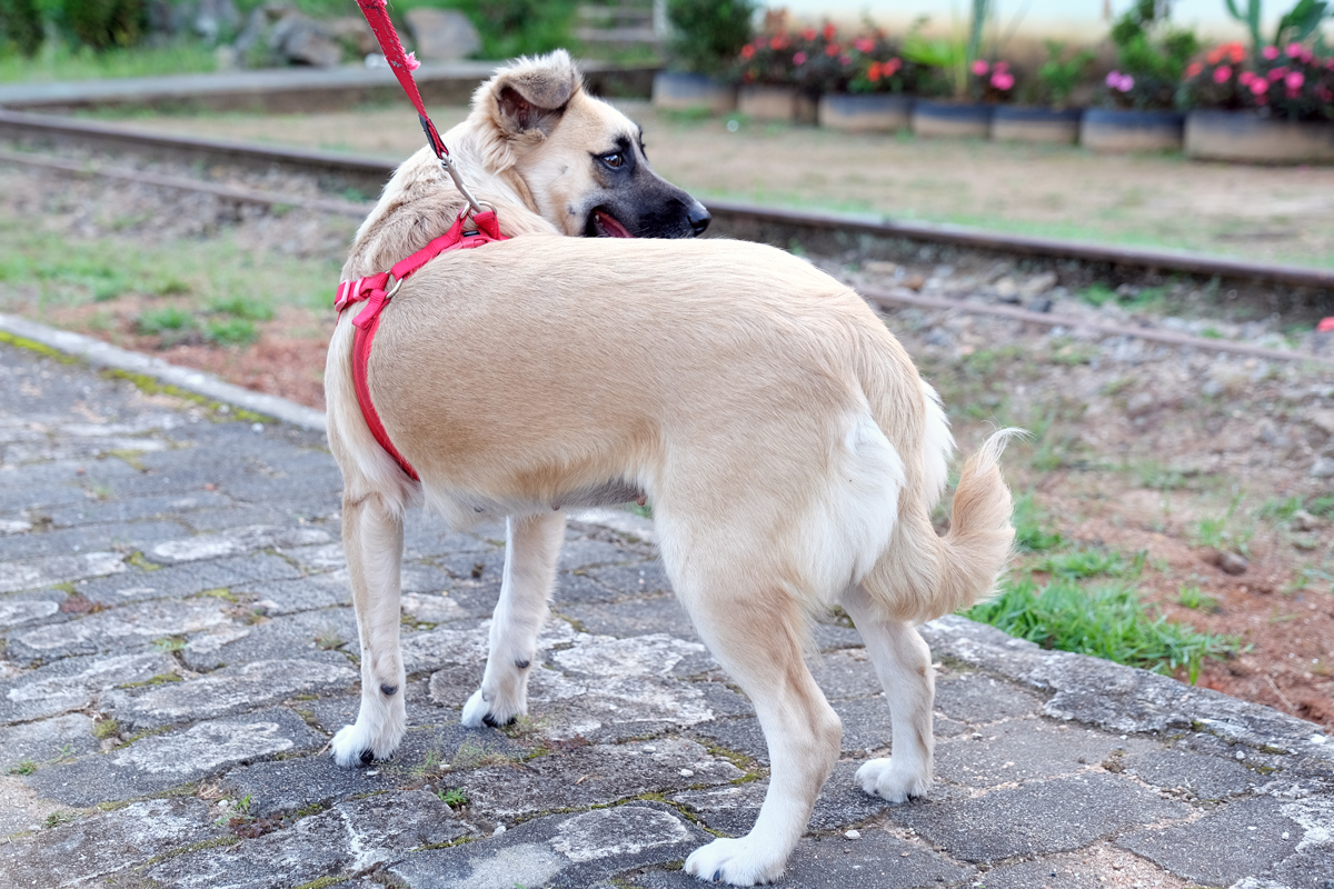 275108150_1165398017537057_8911814340789675259_n