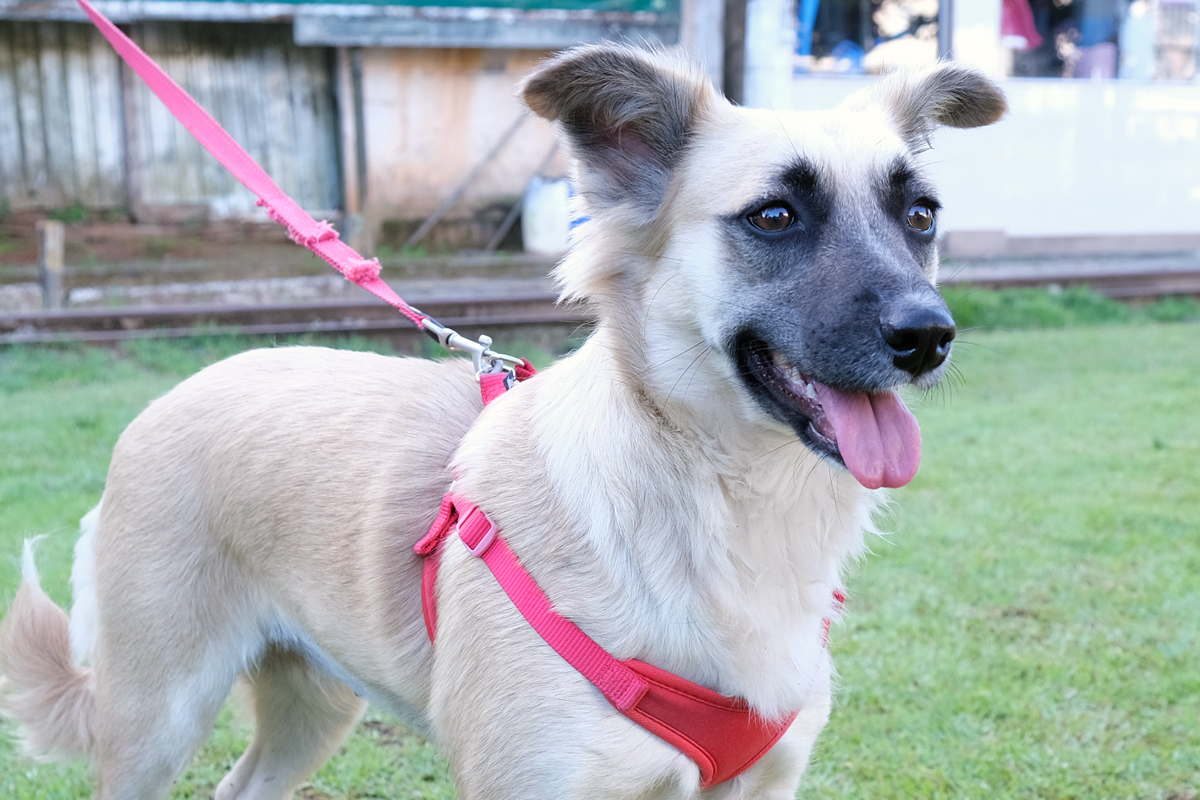 275109590_1165398014203724_962353688966503846_n